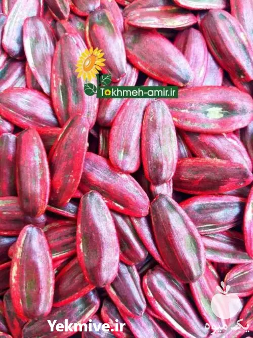 فروش بذرهیبرید و اصلاح شده تخمه کانادایی در گروه خرید و فروش انواع تخمه در یکمیوه -عکس1