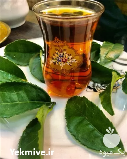 قیمت خرید چای آریا ARIA TEA در گیلان در گروه خرید و فروش چای در یکمیوه -عکس1