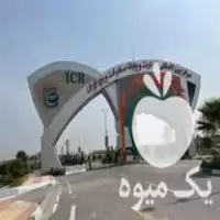 فروش حجره تجاری 200 متری در پایانه برنج آمل در مازندران در گروه حجره در میدان تره بار در یکمیوه