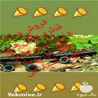 قیمت خرید ویژه قطره چکان های 8 لیتر مدل توربو ایران دریپ در تهران در گروه خرید و فروش دستگاه آبیاری در یکمیوه