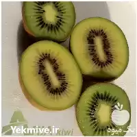فروش آریا کیوی ARIA KIWI در گیلان در گروه خرید و فروش کیوی در یکمیوه