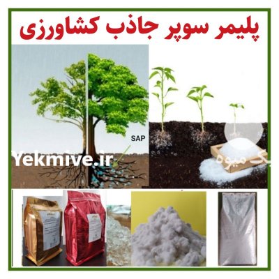 پلیمر سوپر جاذب کشاورزی در لنگرود در گروه انواع محصولات خاک و تغذیه در یکمیوه -عکس1