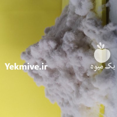 پلیمر سوپر جاذب کشاورزی در لنگرود در گروه انواع محصولات خاک و تغذیه در یکمیوه -عکس4