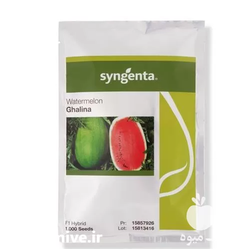 فروش گالینا بذر هندوانه در تهران در گروه خرید و فروش بذر هندوانه در یکمیوه -عکس1