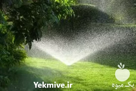 فروش طراحی و اجرای سیستم آبیاری قطره ای و بارانی در تهران در گروه خرید و فروش اتصالات و تجهیزات آبیاری در یکمیوه -عکس1