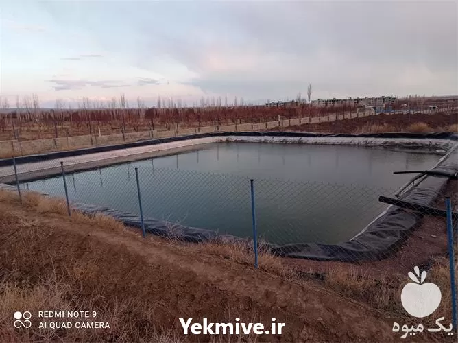 فروش ورق استخرهای ذخیره آب کشاورزی در گروه خرید و فروش استخر کشاورزی در یکمیوه -عکس1