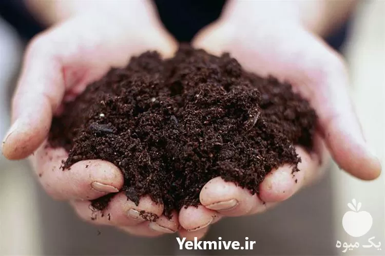 فروش خاک باغچه مرغوب در تهران در گروه خرید و فروش انواع کود کشاورزی در یکمیوه -عکس1