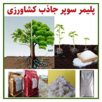 پلیمر سوپر جاذب کشاورزی در لنگرود در گروه انواع محصولات خاک و تغذیه در یکمیوه