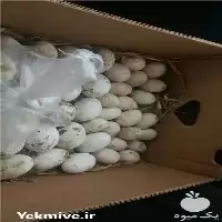 فروش و توزیع تخم قرقاول و بوقلمون در گروه انواع تخم ها در یکمیوه