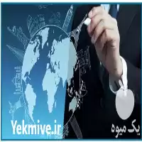 مشاوره صادرات در گروه مشاوره در یکمیوه