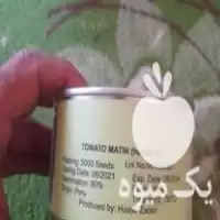 فروش بذر گوجه فرنگی رقم متین اف یک پرو در گروه خرید و فروش بذر گوجه در یکمیوه