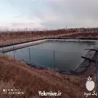 فروش ورق استخرهای ذخیره آب کشاورزی در گروه خرید و فروش استخر کشاورزی در یکمیوه