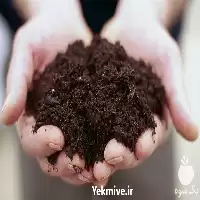 فروش خاک باغچه مرغوب در تهران در گروه خرید و فروش انواع کود کشاورزی در یکمیوه