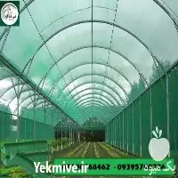 فروش توری شید گلخانه در انواع عرض های مختلف در تهران در گروه خرید و فروش توری گلخانه در یکمیوه