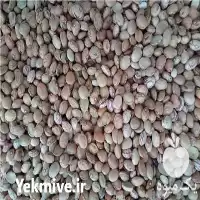 قیمت خرید لوبیا چیتی مخصوص کنسرو در تهران در گروه انواع محصولات کنسروی در یکمیوه