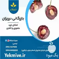 قیمت خرید مغز هسته آلبالو روغن گیری در تهران در گروه خرید و فروش انواع روغن در یکمیوه