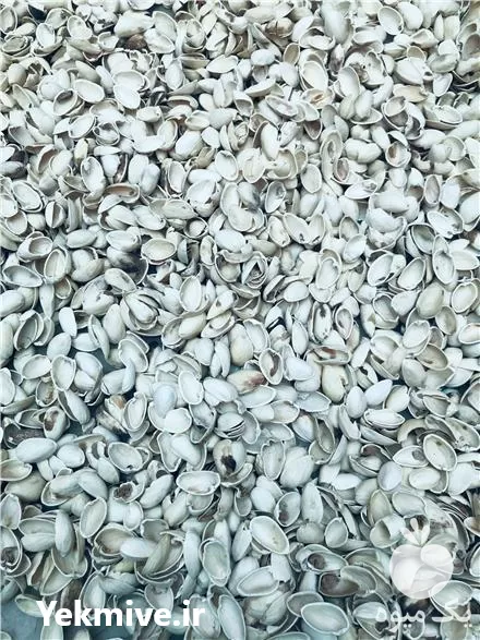 خرید پوست استخوانی پسته فندق گردو بادام و زردآلو در لرستان در گروه خرید و فروش فندق در یکمیوه -عکس1