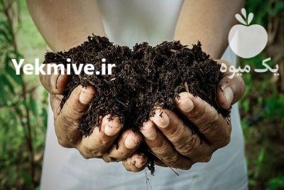 کود مرغی گوشتی در قزوین در گروه خرید و فروش کود مرغی در یکمیوه -عکس1