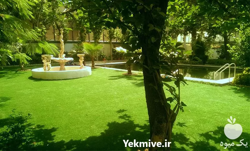 فروش تامین متریال برای پروژه های فضای سبز در تهران در گروه سمپاشی و باغبانی در یکمیوه -عکس1