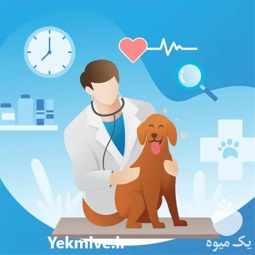 فروش کلینیک دامپزشکی دکتر پورمحمود در خراسان رضوی در گروه خدمات دام و طیور در یکمیوه -عکس1