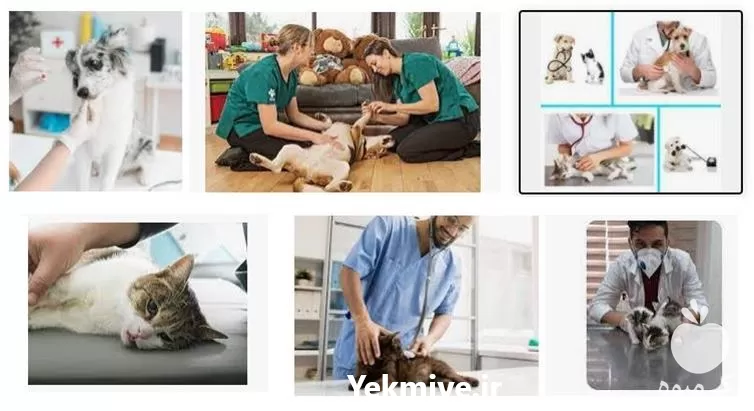 فروش خدمات دامپزشکی در منزل در البرز در گروه خدمات دام و طیور در یکمیوه -عکس1