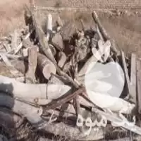 قیمت خرید هیزم خشک در خراسان شمالی در گروه خرید و فروش هیزم در یکمیوه