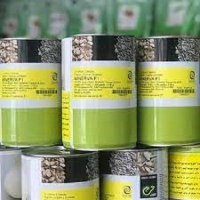 بذر پیاز مینروا در اهواز در گروه خرید و فروش بذر پیاز در یکمیوه