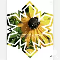 قیمت خرید از گیتی گل رامسر در مازندران در گروه خرید و فروش گیاهان زینتی در یکمیوه