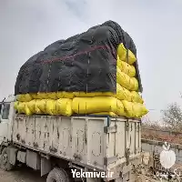 فروش تفاله چغندر در آذربایجان غربی در گروه خوراک دام و طیور در یکمیوه