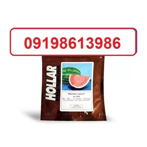 قیمت خرید ویژه بذر هندوانه هولار در گروه خرید و فروش بذر هندوانه در یکمیوه -عکس1