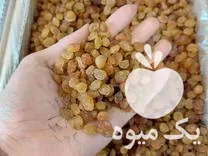 فروش خشکبار انجیر کشمش نخود زرشک زعفران اجیل در گروه خرید و فروش آجیل در یکمیوه -عکس1