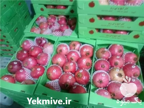 قیمت خرید فوم توری بسته بندی مرکبات در گروه انواع بسته بندی محصول در یکمیوه -عکس1