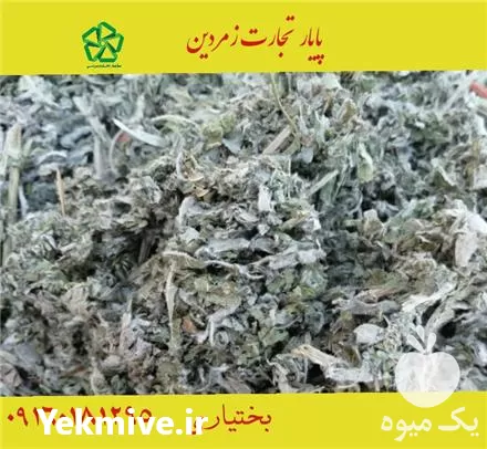خرید و فروش عمده کنگر فرنگی در گروه خرید و فروش گیاهان دارویی در یکمیوه -عکس1
