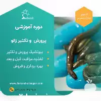 فروش دوره آموزشی جامع پرورش زالو گارانتی در گروه مشاوره در یکمیوه