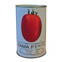 بذر گوجه فرنگی سما در گروه خرید و فروش بذر گوجه در یکمیوه