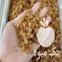 فروش خشکبار انجیر کشمش نخود زرشک زعفران اجیل در گروه خرید و فروش آجیل در یکمیوه