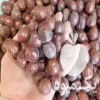 قیمت خرید خشکبار کشمش البالو انجیر گردو در گروه خرید و فروش آجیل در یکمیوه