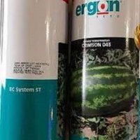 بذر هندوانه ارگون در خراسان رضوی در گروه خرید و فروش بذر هندوانه در یکمیوه