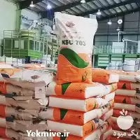 فروش بذر ذرت علوفه ای سیمون در کرمانشاه در گروه خرید و فروش بذر ذرت در یکمیوه