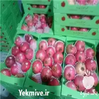 قیمت خرید فوم توری بسته بندی مرکبات در گروه انواع بسته بندی محصول در یکمیوه