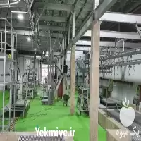 فروش کشتارگاه صنعتی دام در تهران در گروه مشاوره در یکمیوه