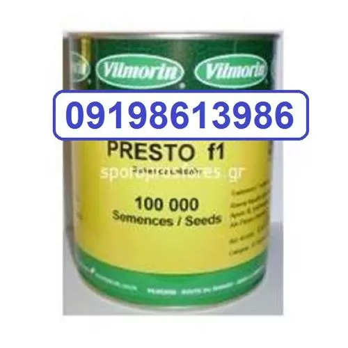 فروش بذر هویج پرستیو در تهران در گروه خرید و فروش بذر هویج در یکمیوه -عکس1