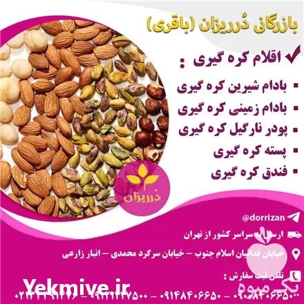قیمت خرید انواع اقلام کره گیری فندق و پسته و بادام و پودر نارگیل در تهران در گروه خرید و فروش ادویه در یکمیوه -عکس1