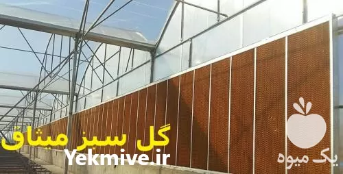 قیمت خرید پد سلولزی گلخانه پد سلولزی کولان سل پد سلولزی در تهران در گروه خرید و فروش تجهیزات گلخانه در یکمیوه -عکس1