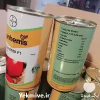 قیمت خرید بذر گوجه سانسید 6189 در گروه خرید و فروش بذر گوجه در یکمیوه