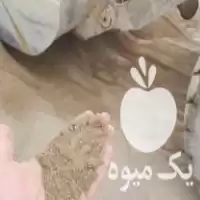 فروش خاک باغچه و کود حیوانی در تهران در گروه خرید و فروش کود حیوانی در یکمیوه