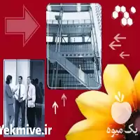 مشاوره و ارائه خدمات فنی صنایع غذائی در گروه مشاوره در یکمیوه