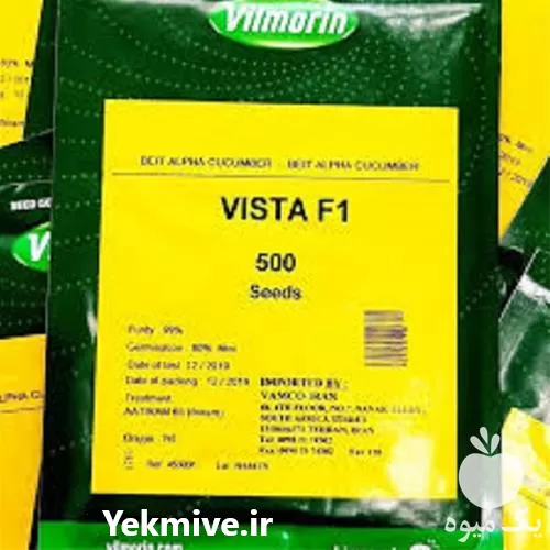 پخش بذر خیار ویستا بذر پر فروش در اصفهان در گروه خرید و فروش بذر خیار در یکمیوه -عکس1