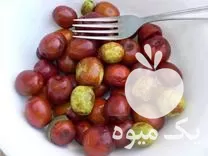 فروش نهال عناب خرمایی خاف در گروه خرید و فروش نهال عناب در یکمیوه -عکس1