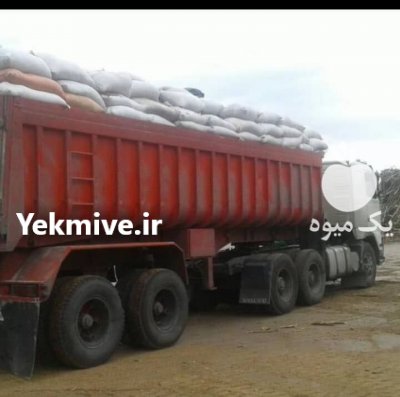 خاک اره زغال در گروه خرید و فروش خاک اره در یکمیوه -عکس4